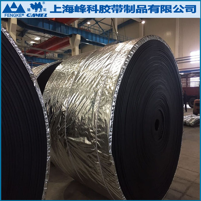 尼龍NN,聚酯EP輸送帶