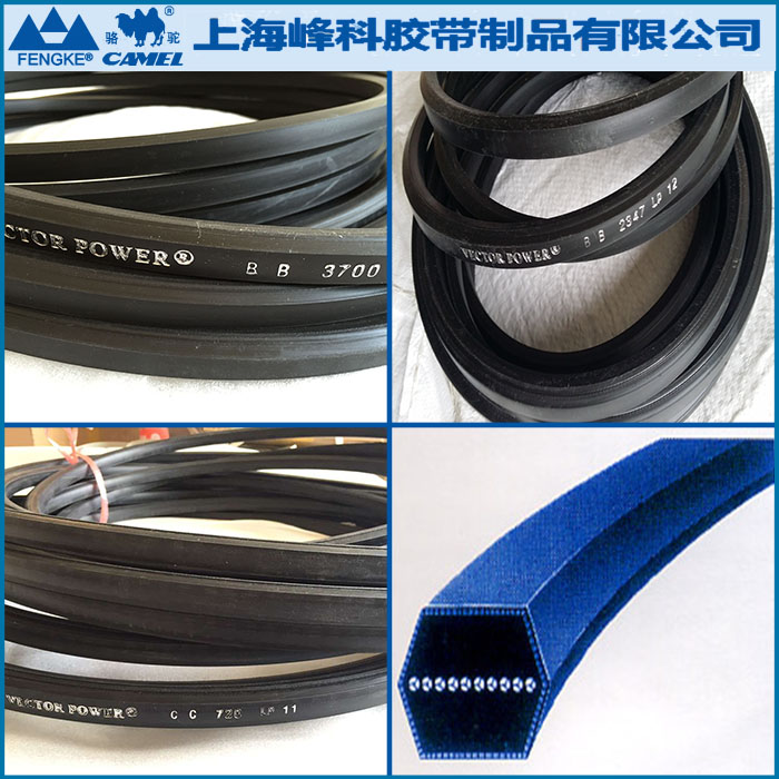 VECTOR POWER 六角帶