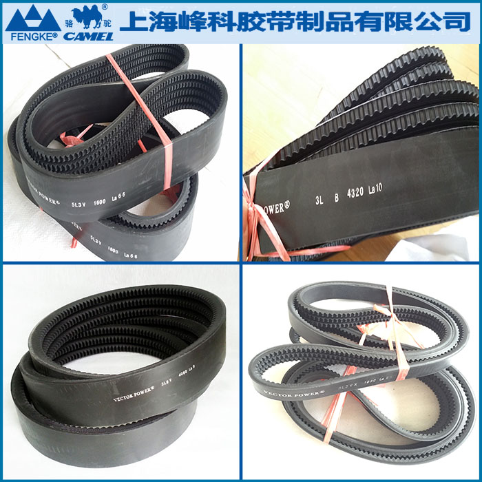 VECTOR齒形聯(lián)組帶