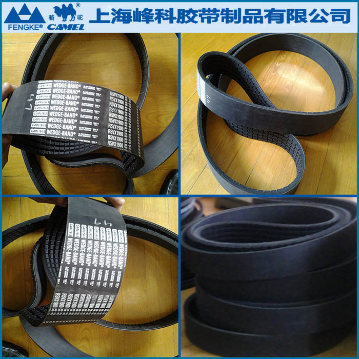 美國卡萊齒形聯(lián)組帶