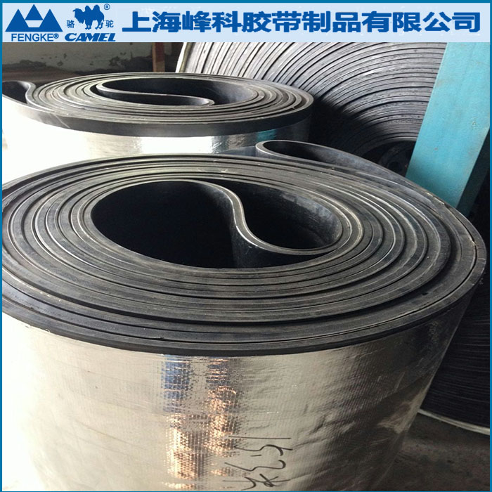 環(huán)形輸送帶